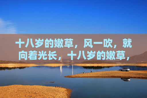 十八岁的嫩草，风一吹，就向着光长，十八岁的嫩草，向光而生