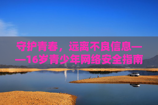 守护青春,远离不良信息——16岁青少年网络安全指南 守护青春,远离不良信息——16岁青少年网络安全指南