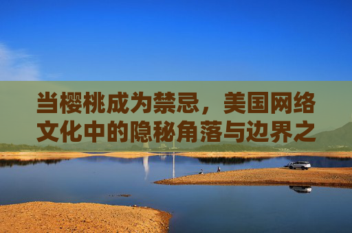 当樱桃成为禁忌，美国网络文化中的隐秘角落与边界之争，樱桃禁忌，美国网络文化的隐秘边界之争
