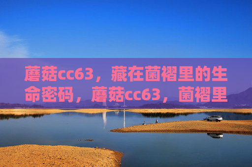 蘑菇cc63，藏在菌褶里的生命密码，蘑菇cc63，菌褶里的生命密码