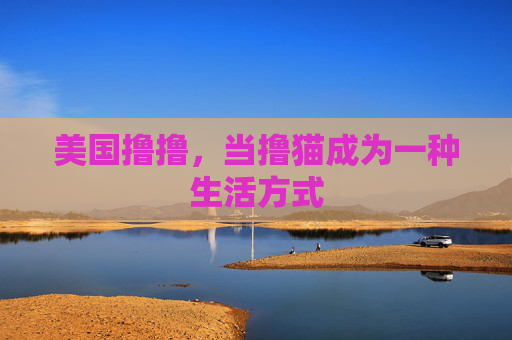 美国撸撸，当撸猫成为一种生活方式