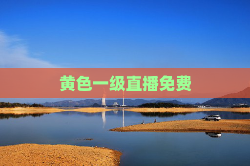 黄色一级直播免费