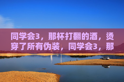同学会3,那杯打翻的酒,烫穿了所有伪装,同学会3,那杯打翻的酒,烫穿伪装 同学会3,那杯打翻的酒,烫穿了所有伪装,同学会3,那杯打翻的酒,烫穿伪装