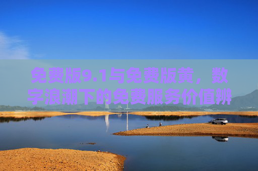 免费版9.1与免费版黄,数字浪潮下的免费服务价值辨析,数字浪潮下免费服务价值辨析,免费版9.1与免费版黄 免费版9.1与免费版黄,数字浪潮下的免费服务价值辨析,数字浪潮下免费服务价值辨析,免费版9.1与免费版黄