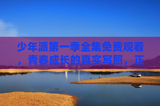 少年派第一季全集免费观看,青春成长的真实写照,正版渠道尽享温情时光,少年派第一季全集,正版免费观看,青春成长的真实写照与温情时光 少年派第一季全集免费观看,青春成长的真实写照,正版渠道尽享温情时光,少年派第一季全集,正版免费观看,青春成长的真实写照与温情时光