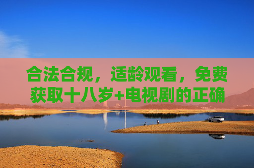 合法合规，适龄观看，免费获取十八岁+电视剧的正确途径，十八岁+电视剧，合法合规免费获取的正确途径