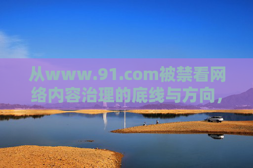 从www.91.com被禁看网络内容治理的底线与方向,从www.91.com被禁看网络内容治理的底线与方向 从www.91.com被禁看网络内容治理的底线与方向,从www.91.com被禁看网络内容治理的底线与方向