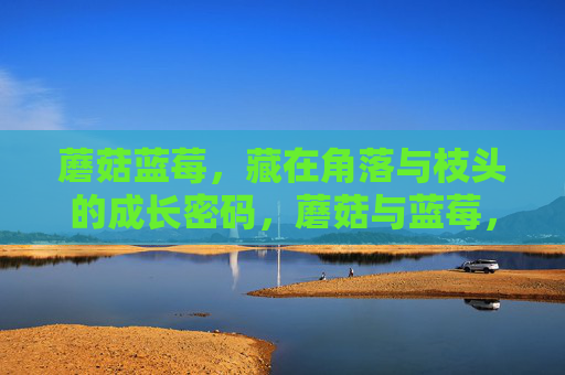 蘑菇蓝莓,藏在角落与枝头的成长密码,蘑菇与蓝莓,角落与枝头的成长密码 蘑菇蓝莓,藏在角落与枝头的成长密码,蘑菇与蓝莓,角落与枝头的成长密码
