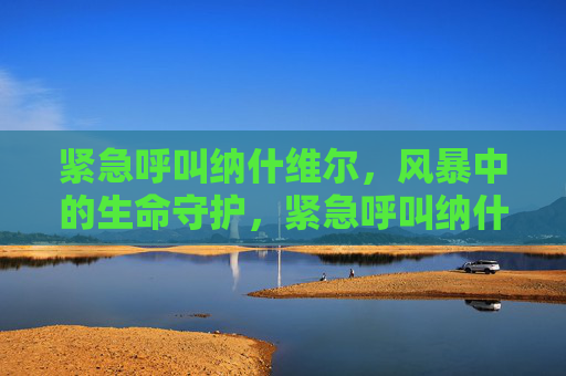 紧急呼叫纳什维尔，风暴中的生命守护，紧急呼叫纳什维尔，风暴中的生命守护