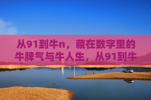 从91到牛n,藏在数字里的牛脾气与牛人生,从91到牛n,数字里的牛脾气与牛人生 从91到牛n,藏在数字里的牛脾气与牛人生,从91到牛n,数字里的牛脾气与牛人生