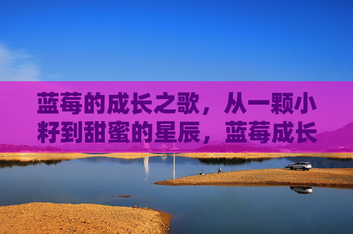 蓝莓的成长之歌,从一颗小籽到甜蜜的星辰,蓝莓成长之歌,小籽育甜润星辰 蓝莓的成长之歌,从一颗小籽到甜蜜的星辰,蓝莓成长之歌,小籽育甜润星辰