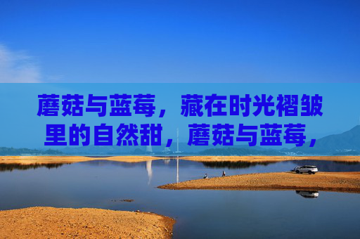 蘑菇与蓝莓,藏在时光褶皱里的自然甜,蘑菇与蓝莓,时光褶皱里的自然甜 蘑菇与蓝莓,藏在时光褶皱里的自然甜,蘑菇与蓝莓,时光褶皱里的自然甜