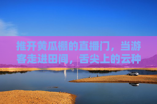 推开黄瓜棚的直播门,当游客走进田间,舌尖上的云种菜变身体验,直播推门游田间,舌尖云种菜体验 推开黄瓜棚的直播门,当游客走进田间,舌尖上的云种菜变身体验,直播推门游田间,舌尖云种菜体验