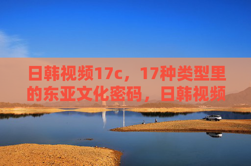 日韩视频17c，17种类型里的东亚文化密码，日韩视频17种类型里的东亚文化密码
