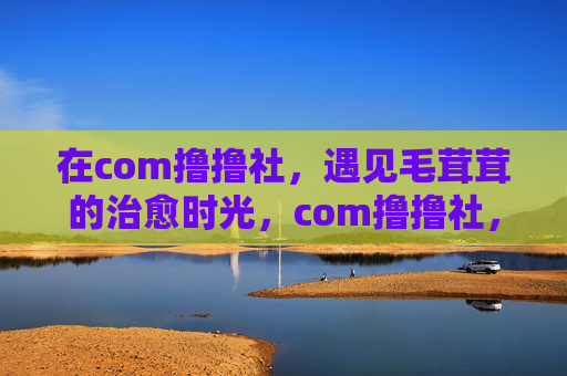 在com撸撸社,遇见毛茸茸的治愈时光,com撸撸社,毛茸茸的治愈时光 在com撸撸社,遇见毛茸茸的治愈时光,com撸撸社,毛茸茸的治愈时光