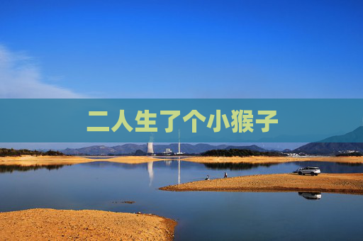二人生了个小猴子 二人生了个小猴子