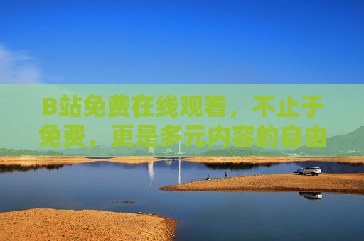 B站免费在线观看，不止于免费，更是多元内容的自由之选，B站免费多元，自由之选