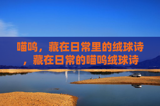 喵呜,藏在日常里的绒球诗,藏在日常的喵呜绒球诗 喵呜,藏在日常里的绒球诗,藏在日常的喵呜绒球诗