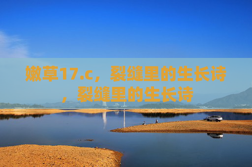 嫩草17.c，裂缝里的生长诗，裂缝里的生长诗