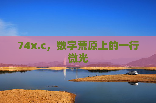 74x.c，数字荒原上的一行微光