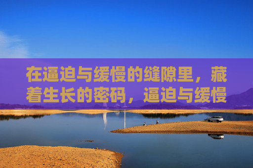 在逼迫与缓慢的缝隙里,藏着生长的密码,逼迫与缓慢的缝隙,生长密码 在逼迫与缓慢的缝隙里,藏着生长的密码,逼迫与缓慢的缝隙,生长密码