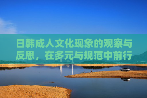 日韩成人文化现象的观察与反思,在多元与规范中前行,日韩成人文化现象,在多元与规范中前行的观察与反思 日韩成人文化现象的观察与反思,在多元与规范中前行,日韩成人文化现象,在多元与规范中前行的观察与反思