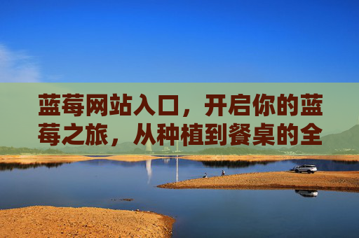 蓝莓网站入口,开启你的蓝莓之旅,从种植到餐桌的全景指南,开启蓝莓之旅,从种植到餐桌的全景指南 蓝莓网站入口,开启你的蓝莓之旅,从种植到餐桌的全景指南,开启蓝莓之旅,从种植到餐桌的全景指南