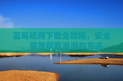 蓝莓视频下载全攻略，安全、高效获取资源的方法
