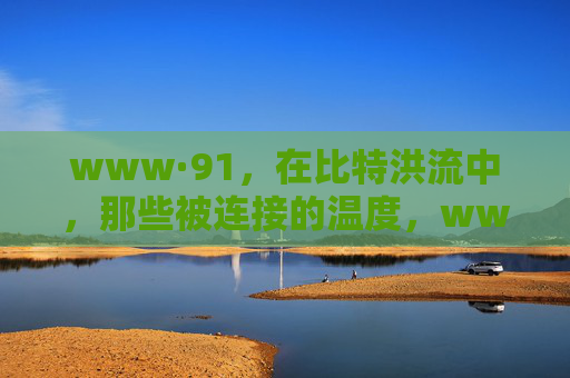 www·91,在比特洪流中,那些被连接的温度,www·91,比特洪流中的连接温度 www·91,在比特洪流中,那些被连接的温度,www·91,比特洪流中的连接温度