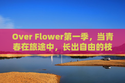 Over Flower第一季,当青春在旅途中,长出自由的枝桠,Over Flower第一季,旅途中长出的青春枝桠 Over Flower第一季,当青春在旅途中,长出自由的枝桠,Over Flower第一季,旅途中长出的青春枝桠