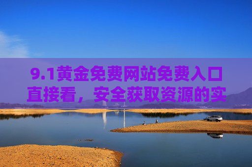 9.1黄金免费网站免费入口直接看，安全获取资源的实用指南，1黄金免费网站入口直接看，安全获取资源实用指南