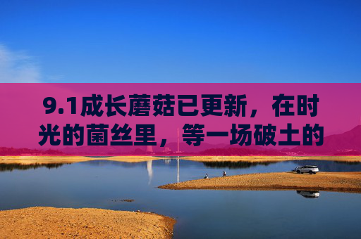 9.1成长蘑菇已更新,在时光的菌丝里,等一场破土的惊喜,成长蘑菇,时光菌丝里的破土惊喜 9.1成长蘑菇已更新,在时光的菌丝里,等一场破土的惊喜,成长蘑菇,时光菌丝里的破土惊喜