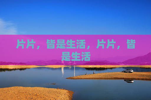 片片,皆是生活,片片,皆是生活 片片,皆是生活,片片,皆是生活