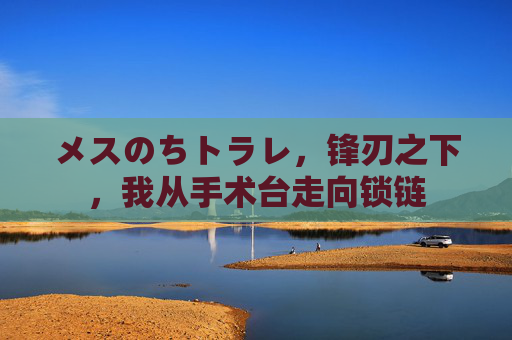 メスのちトラレ，锋刃之下，我从手术台走向锁链