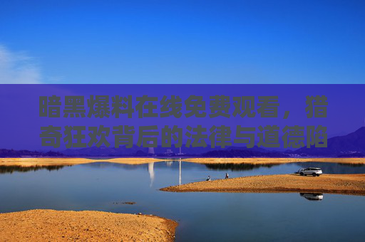 暗黑爆料在线免费观看,猎奇狂欢背后的法律与道德陷阱,暗黑爆料在线观看,猎奇狂欢的法律与道德陷阱 暗黑爆料在线免费观看,猎奇狂欢背后的法律与道德陷阱,暗黑爆料在线观看,猎奇狂欢的法律与道德陷阱