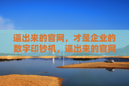 逼出来的官网,才是企业的数字印钞机,逼出来的官网,企业数字印钞机 逼出来的官网,才是企业的数字印钞机,逼出来的官网,企业数字印钞机