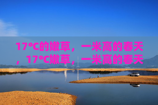 17℃的嫩草,一米高的春天,17℃嫩草,一米高的春天 17℃的嫩草,一米高的春天,17℃嫩草,一米高的春天