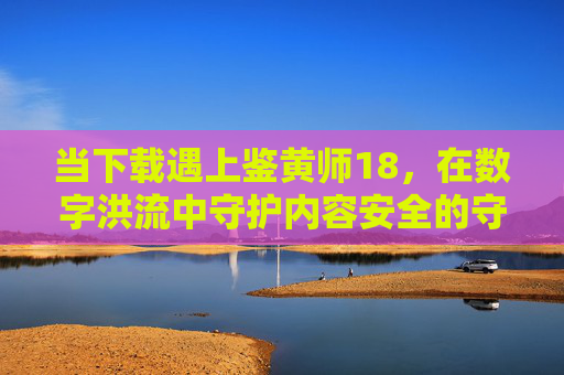 当下载遇上鉴黄师18,在数字洪流中守护内容安全的守门人,下载遇上鉴黄师18,数字洪流中的内容安全守门人 当下载遇上鉴黄师18,在数字洪流中守护内容安全的守门人,下载遇上鉴黄师18,数字洪流中的内容安全守门人