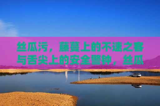 丝瓜污,藤蔓上的不速之客与舌尖上的安全警钟,丝瓜污,藤蔓不速之客敲响舌尖安全警钟 丝瓜污,藤蔓上的不速之客与舌尖上的安全警钟,丝瓜污,藤蔓不速之客敲响舌尖安全警钟
