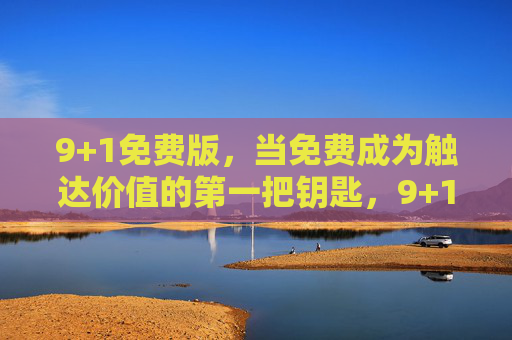 9+1免费版,当免费成为触达价值的第一把钥匙,9+1免费版,价值触达的第一把钥匙 9+1免费版,当免费成为触达价值的第一把钥匙,9+1免费版,价值触达的第一把钥匙