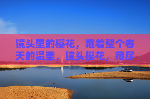 镜头里的樱花,藏着整个春天的温柔,镜头樱花,藏尽春柔 镜头里的樱花,藏着整个春天的温柔,镜头樱花,藏尽春柔