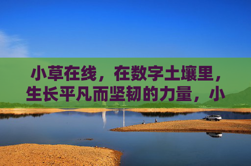 小草在线,在数字土壤里,生长平凡而坚韧的力量,小草在线,数字土壤里的平凡坚韧力量 小草在线,在数字土壤里,生长平凡而坚韧的力量,小草在线,数字土壤里的平凡坚韧力量