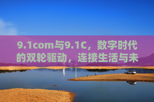9.1com与9.1C，数字时代的双轮驱动，连接生活与未来的桥梁，1com与9.1C，数字时代的双轮驱动，连接生活与未来