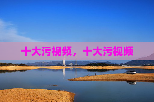 十大污视频，十大污视频