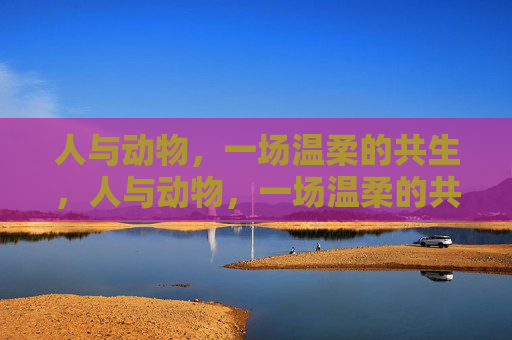 人与动物,一场温柔的共生,人与动物,一场温柔的共生 人与动物,一场温柔的共生,人与动物,一场温柔的共生
