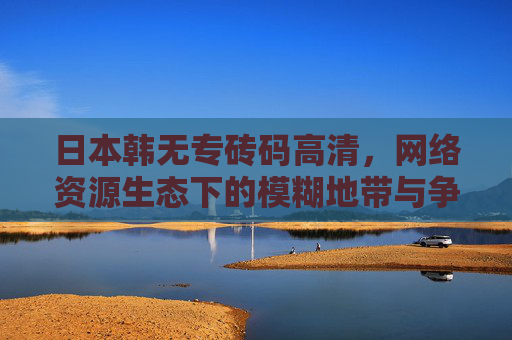 日本韩无专砖码高清，网络资源生态下的模糊地带与争议，网络资源生态下无授权高清资源的模糊地带与争议