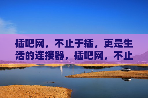 插吧网，不止于插，更是生活的连接器，插吧网，不止于插，生活连接器