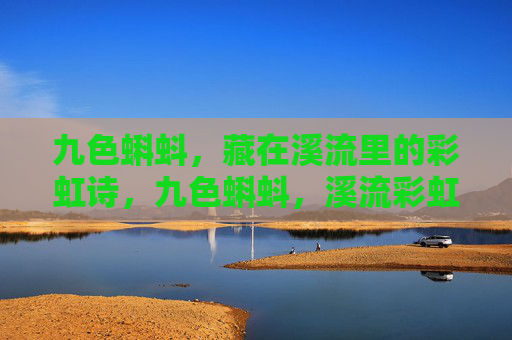 九色蝌蚪,藏在溪流里的彩虹诗,九色蝌蚪,溪流彩虹诗 九色蝌蚪,藏在溪流里的彩虹诗,九色蝌蚪,溪流彩虹诗