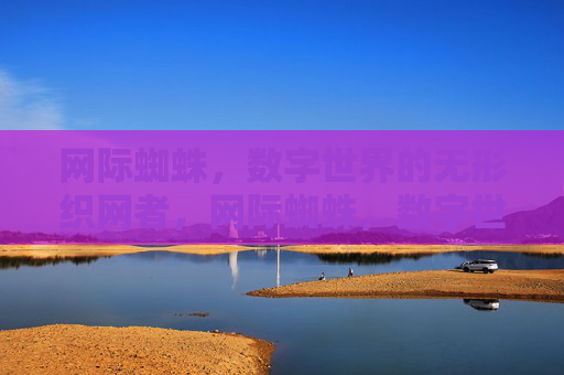 网际蜘蛛,数字世界的无形织网者,网际蜘蛛,数字世界的无形织网者 网际蜘蛛,数字世界的无形织网者,网际蜘蛛,数字世界的无形织网者