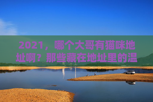 2021,哪个大哥有猫咪地址啊?那些藏在地址里的温柔与牵挂,2021,猫咪地址里的温柔与牵挂 2021,哪个大哥有猫咪地址啊?那些藏在地址里的温柔与牵挂,2021,猫咪地址里的温柔与牵挂